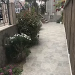 Mina Trabzon